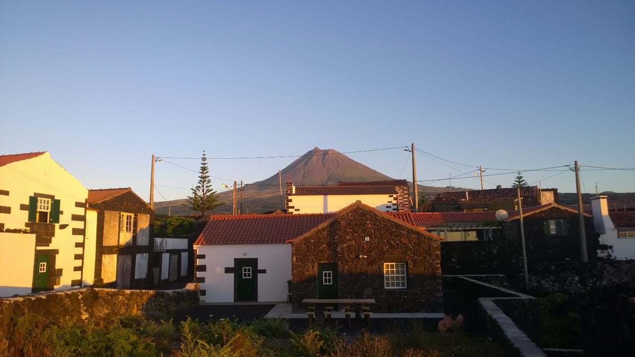 Villa Casinha Da Avo Jeronima Rral 1519 à Madalena  Extérieur photo